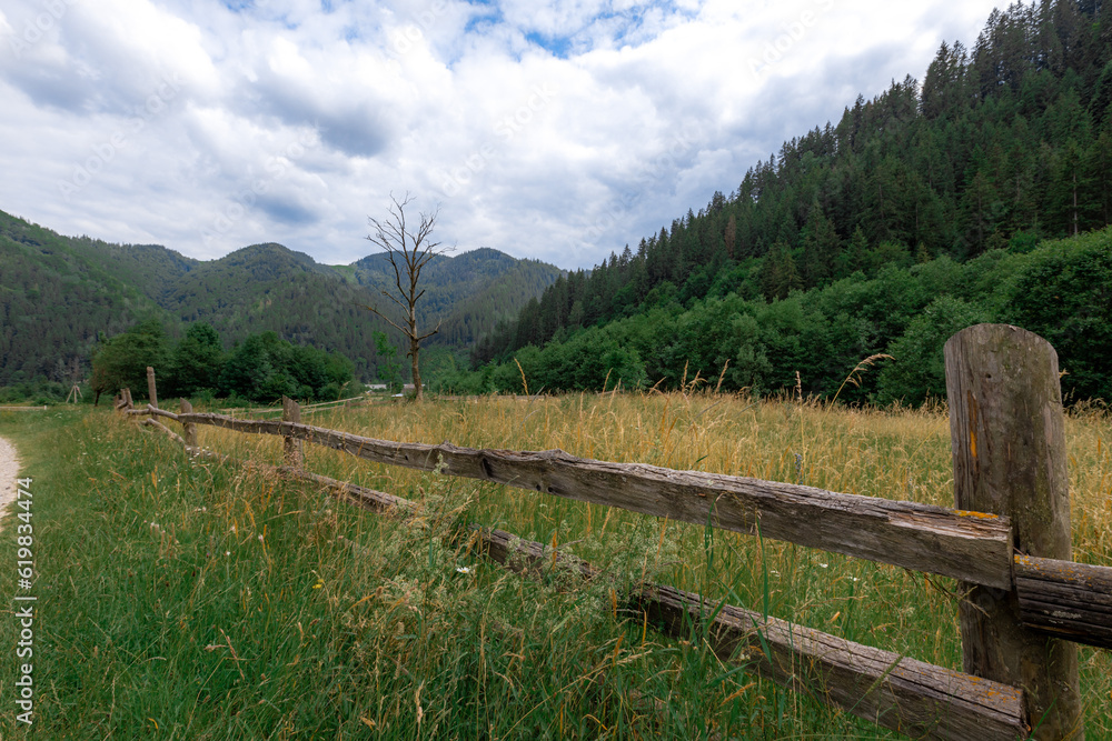 Carpathian mountains in the summer