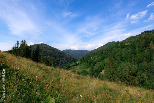 Carpathian mountains in the summer © vovan