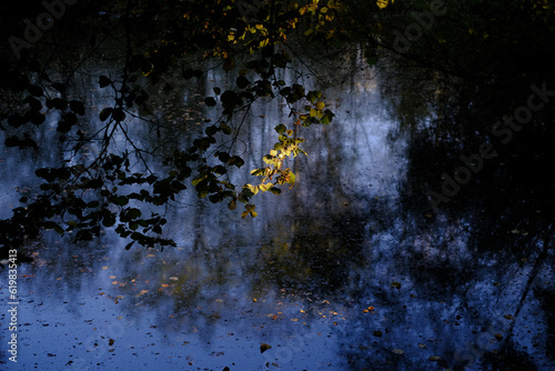Dunkelblauer See bei beginnendem Herbst mit überhängendem Baumblattwerk auf den in der Mitte die Sonne scheint und Blätter schwimmen