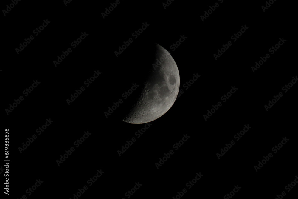 moon moon