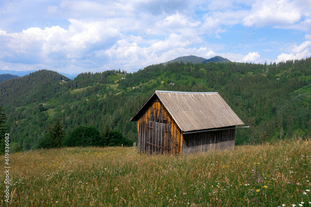 Carpathian mountains in the summer Carpathian mountains in the summer