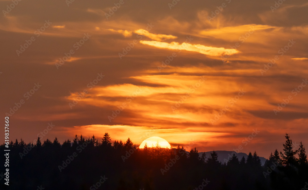 Sunset over evergreen forest on the Olympic Peninsula in Washington state