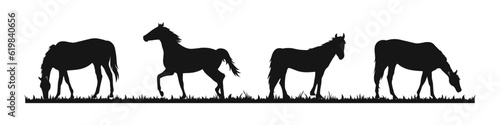 Grazing horse vector set. Horse body silhouette, stallion icon