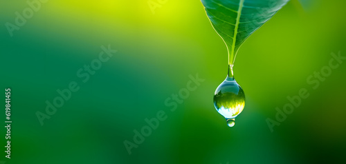 葉、水、雫、背景｜Leaves, water, drops, background.Generative AI