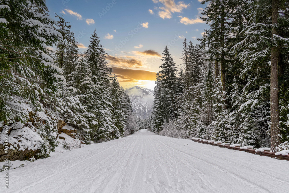 Fototapeta premium A snow covered road through a mountains pine forest with trees covered in snow.