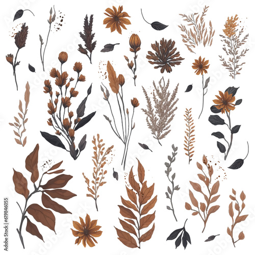 A set of watercolour plants for the autumn season. Brown branches, golden pampas grass, orange flowers. For decorating cards, wedding invitations. Vector
