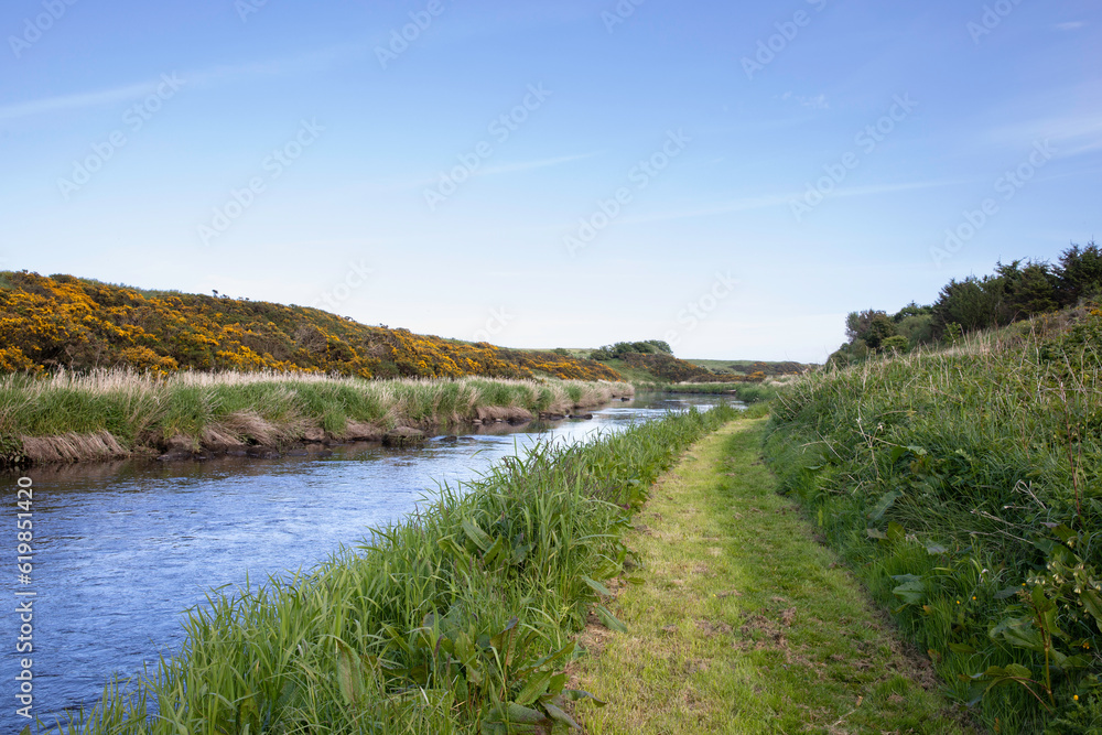 Peaceful scene of a cut grass path running along the banks of the river Ugie in Aberdeenshire in Scotland. With reeds on the banks of the river and yellow gorse covered hills in the background.