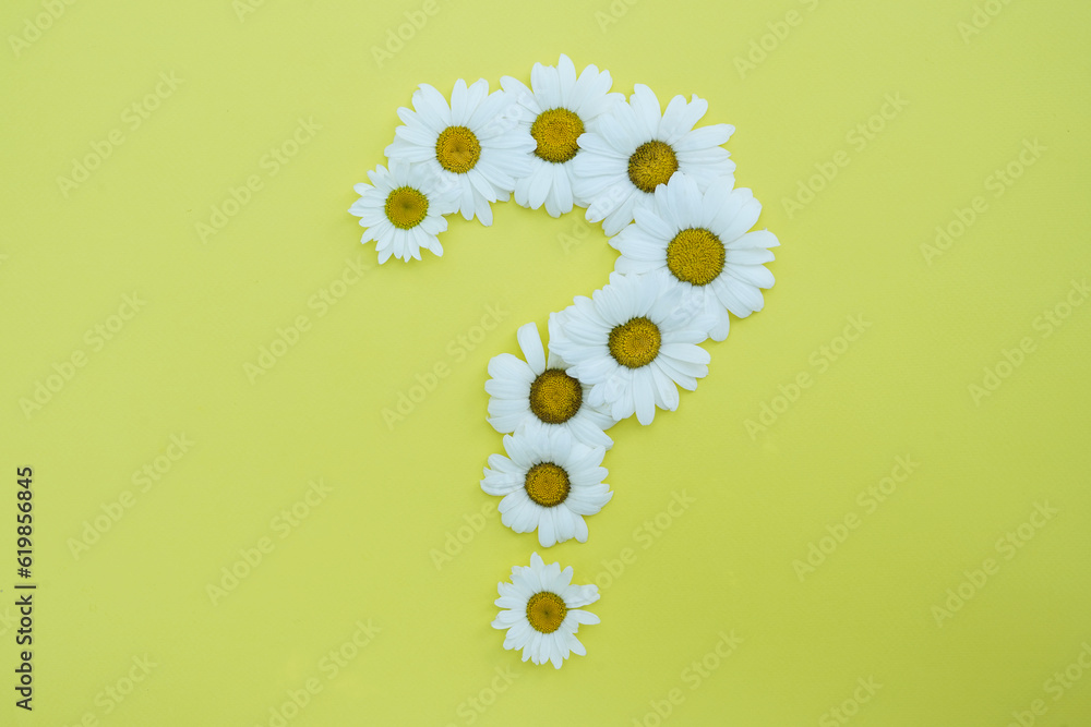 Question mark made of daisy flowers on yellow background. Top view, flat lay. Question mark made of daisy flowers on yellow background. Top view, flat lay.