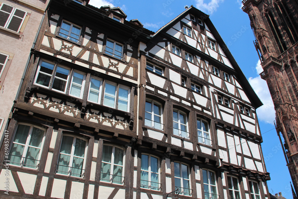 half-timbered house or flat buildings in strasbourg in alsace (france)