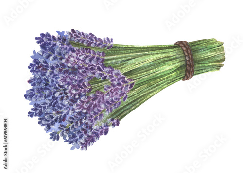 Bouquet of purple lavender flowers. Watercolor botanical illustration. Hand drawn clipart isolated on a white background. A fragrant field herb. Spa French Provence. For design aroma sachets, prints