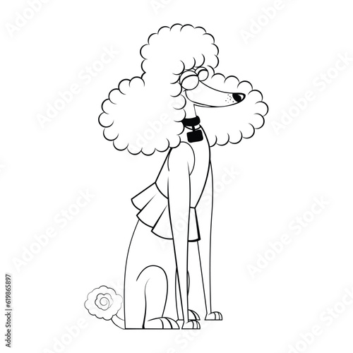 Vector Cartoon Poodle Dog Character isolated illustration