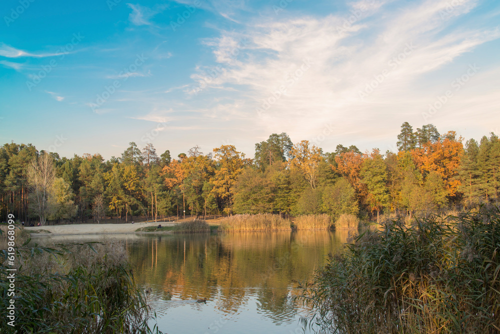 Beautiful view of the autumn forest