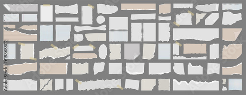 Ripped paper strips collection. Realistic paper scraps with torn edges. Vector illustration.