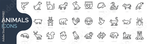 Set of outline icons related to animals. Linear icon collection. Editable stroke. Vector illustration