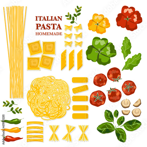 Homemade Italian Pasta Ingredients Spaghetti, ravioli, and vegetable background, food design template. white background vector illustration.