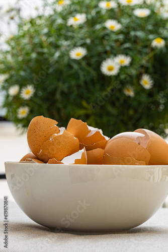 Farm organic rustic broken egg shells in the bowl with the camomile flowers green bush