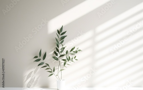 Closeup green plant leaves in white ceramic vase on blurred white wall  sunlight and long shadow. Minimal abstract background for cosmetic  skincare  beauty product presentation