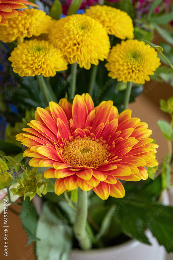 Bouquet with chrysanthemum and gerbera. Bouquet with chrysanthemum and gerbera.