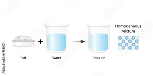 Homogeneous mixture, solution, uniform composition, salt and water. Chemistry experiment. Scientific design. Vector illustration