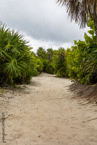 Sandy white trail through the wetlands with tropical jungle full of green trees on a cloudy day in Tulum 