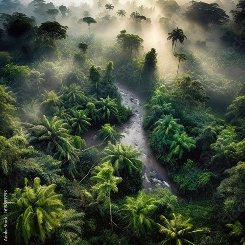 Arial view of a.misty rainforest, ai