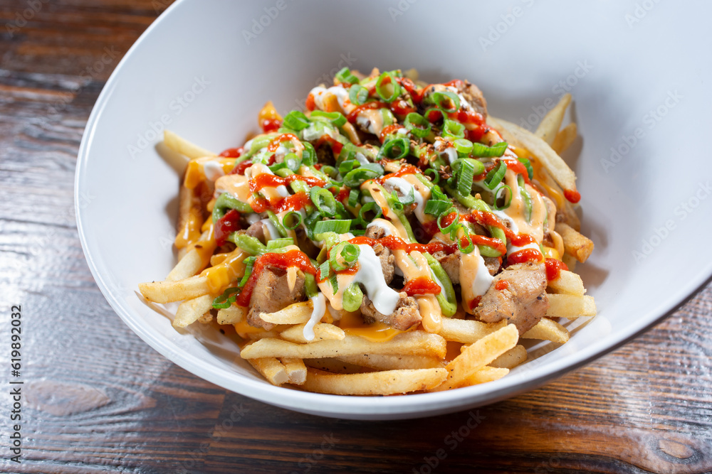 A view of a bowl of loaded fries.
