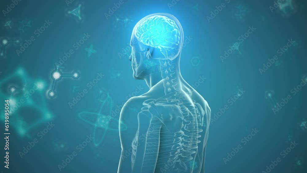 Animation of human body with glowing brain and particles on blue background Animation of human body with glowing brain and particles on blue background