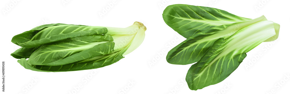 Organic fresh chard plant isolated on white background with full depth of field Organic fresh chard plant isolated on white background with full depth of field