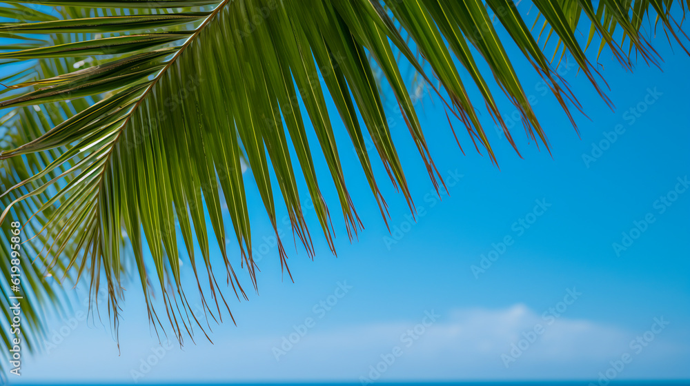 Palmwedeln vor einem blauen Himmel, Generative AI Palmwedeln vor einem blauen Himmel, Generative AI