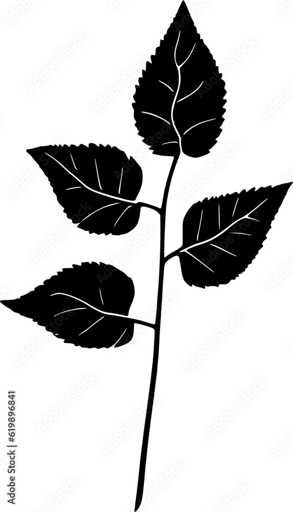 Botanical Leaves Botanical Leaves