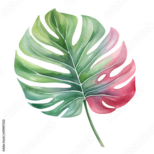 Tropical Leaves Watercolor Clipart, Monstera Hawaii Leaves Illustration photo