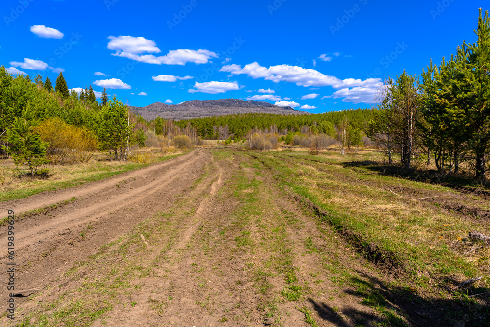 Fototapeta premium South Ural forest road with a unique landscape, vegetation and diversity of nature.