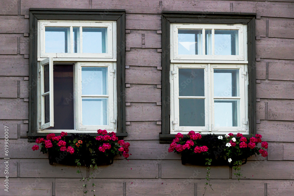 windows with white woodenframes, in an old house, pink flowers in boxes under the windows