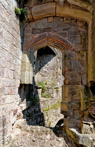 Interior of Raglan Castle - Raglan  Monmouthshire  South Wales