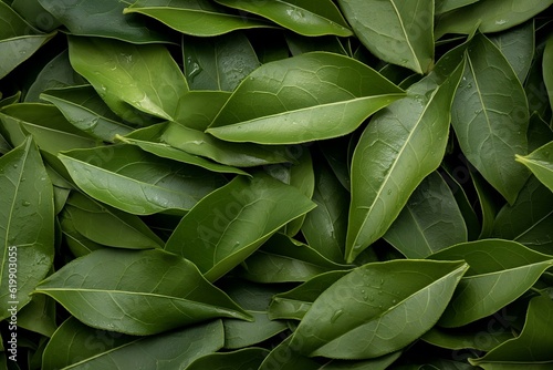 Bay leaves as texture. Generative AI