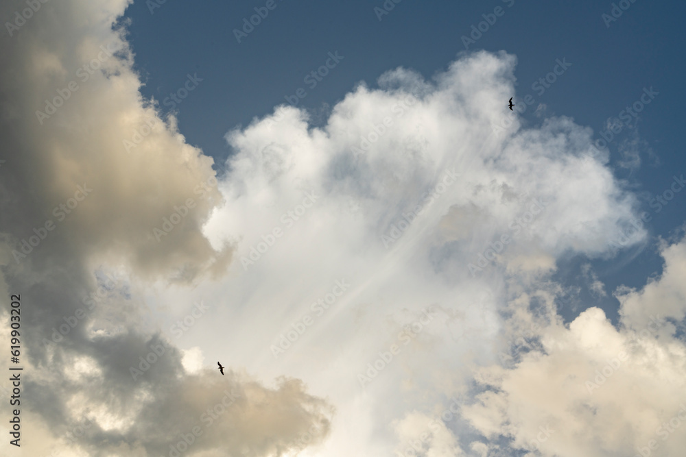 Nube soplido Nube soplido