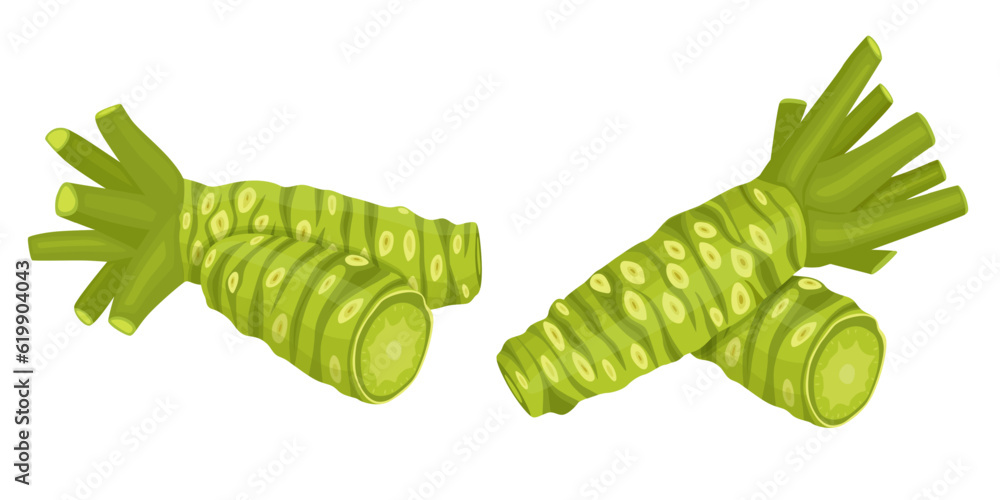 fresh wasabi root, raw wasabi for japanese foodWhole and half wasabi