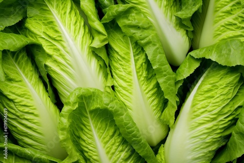 Chinese cabbage as background and texture. Generative AI.