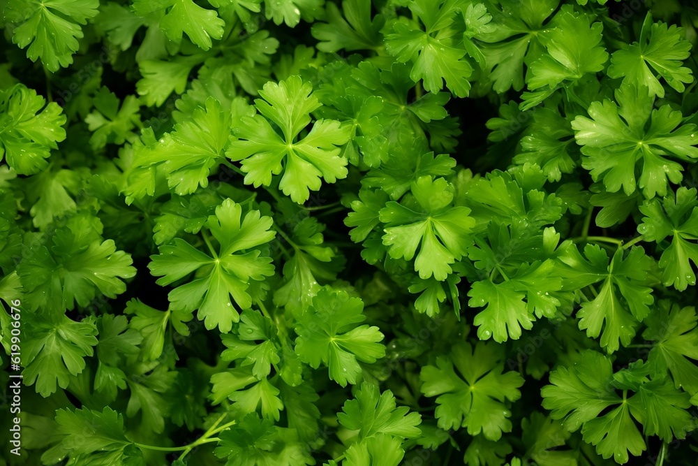 Parsley as texture. Generative AI. Parsley as texture. Generative AI.