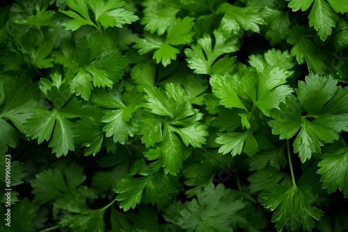 Parsley as background. Generative AI.