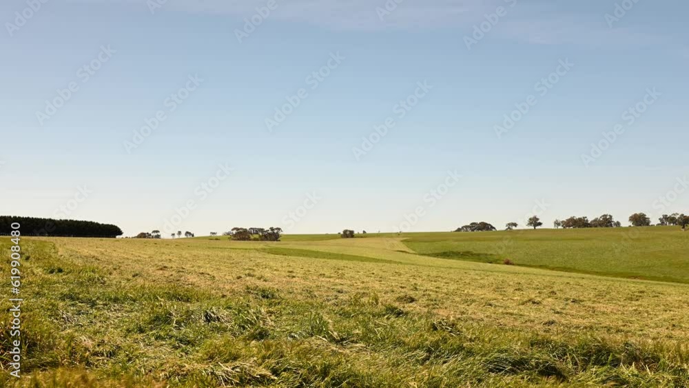 timelapse farm and tractor baling hay and silage in a field, in Australia. by the ocean and beach