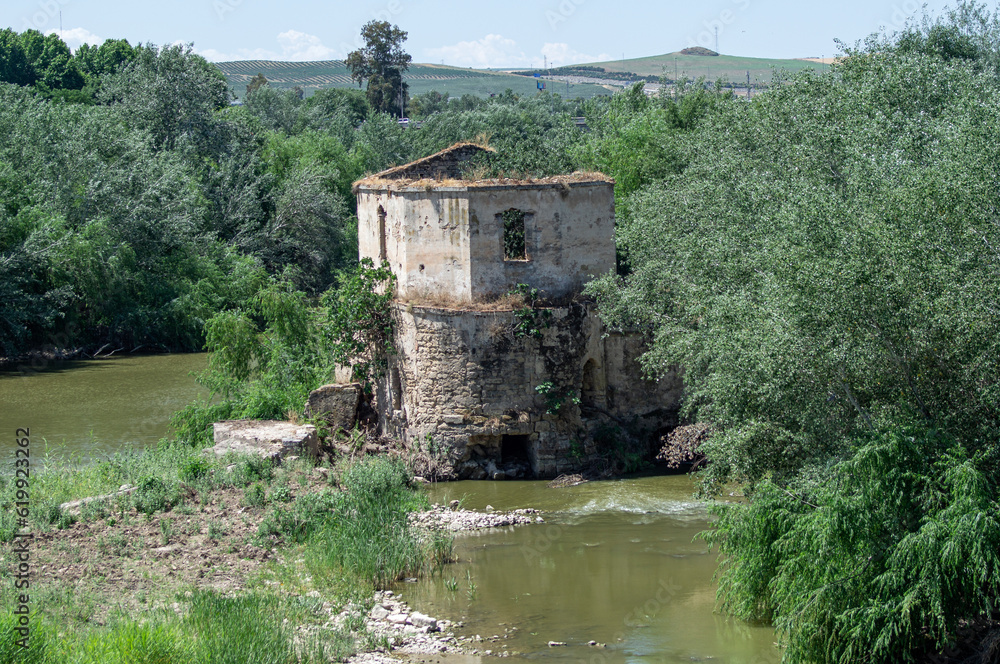 Watermill of the Roman bridge of the Mosque of Cordoba, Spain