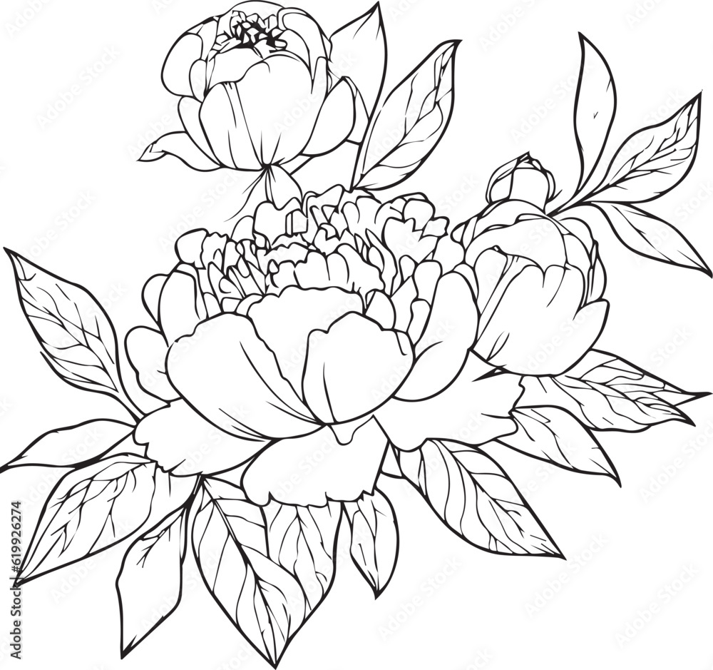 Bouquet of peony flower hand drawn pencil sketch, coloring page, and book for adults isolated on white background floral element tattooing, illustration ink art, blossom peony, spring collect. Bouquet of peony flower hand drawn pencil sketch, coloring page, and book for adults isolated on white background floral element tattooing, illustration ink art, blossom peony, spring collect.