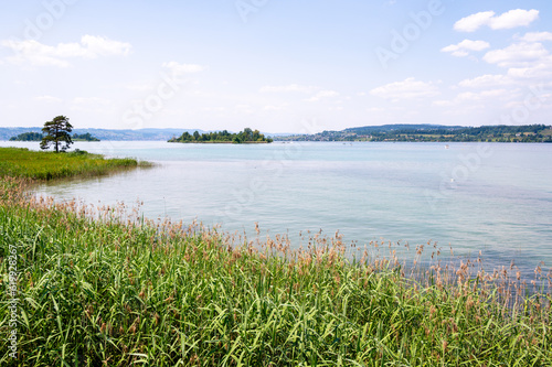 Lake Zurich near Rapperswil  Switzerland