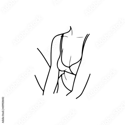 vector illustration of a woman's body in a bikini