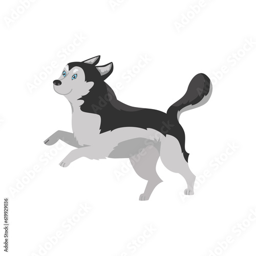 Funny Siberian husky running and jumping, cartoon flat vector illustration isolated on white background.