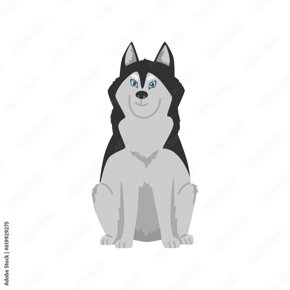 Sitting smiling blue-eyed husky dog flat style, vector illustration