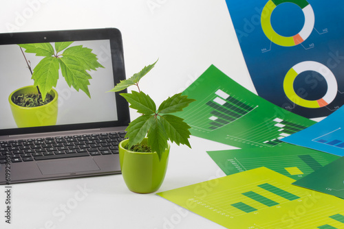 Mała roślina w doniczce obok komputera z rośliną na ekranie wśród zielonych i niebieskich plansz z wykresami.