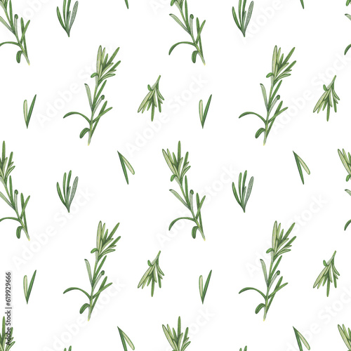 Watercolor seamless pattern herbal with rosemary sprigs. Hand-drawn illustration isolated on white background. Concept for fabric print  label  banner  menu  flyer  brochure template