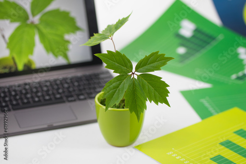 Mała roślina w doniczce obok komputera z rośliną na ekranie wśród zielonych plansz z wykresami.